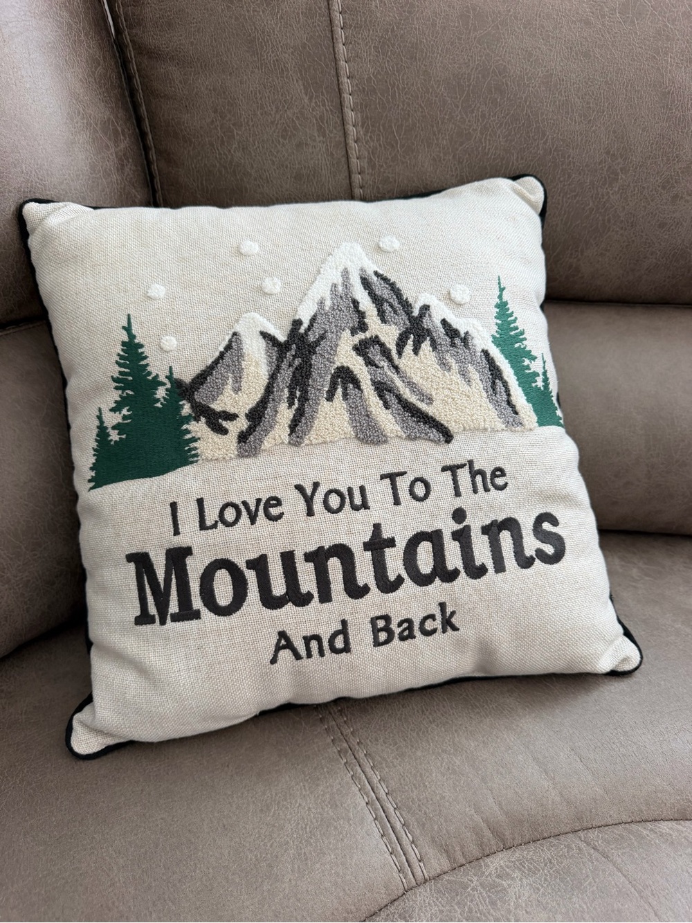 Western/Farmhouse Embroidered Throw Pillow